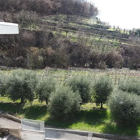La Collina Degli Ulivi Apartmán *